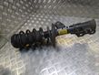 Front shock absorber/damper