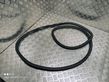 Rear door rubber seal (on body)