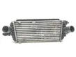 Radiatore intercooler