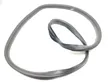 Rear door rubber seal (on body)