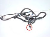 Other wiring loom
