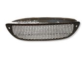 Front bumper lower grill
