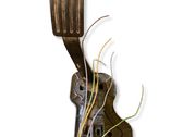 Akceleratoriaus pedalas