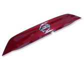 Trunk door license plate light bar