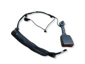 Rear seatbelt buckle