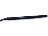 Tailgate/trunk strut/damper