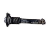 Rear shock absorber/damper