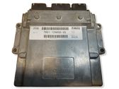 Engine control unit/module ECU