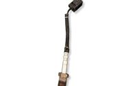 Sensor de temperatura del escape