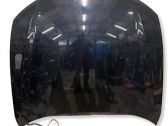 Motorhaube