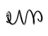 Front coil spring