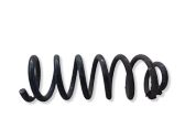 Rear coil spring