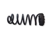 Rear coil spring