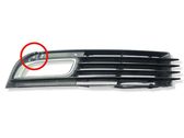 Front fog light trim/grill