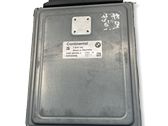 Engine control unit/module ECU