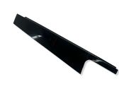 Rear door glass trim molding