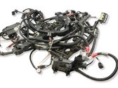 Engine installation wiring loom