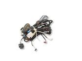 Rear door wiring loom
