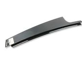 Rear door glass trim molding