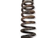 Rear coil spring