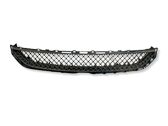 Front bumper lower grill