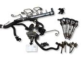 Fuel injection system set