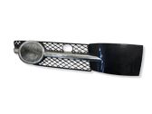 Grille antibrouillard avant