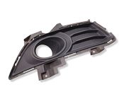 Front fog light trim/grill