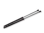 Tailgate/trunk strut/damper