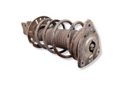 Amortiguador delantero con muelle espiral