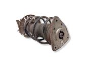 Amortiguador delantero con muelle espiral