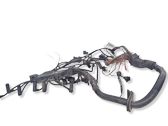 Engine installation wiring loom