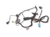 Front door wiring loom
