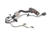 Rear door wiring loom
