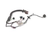 Rear door wiring loom