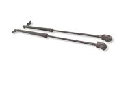 Tailgate/trunk strut/damper