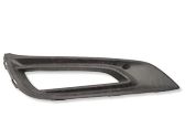 Front fog light trim/grill