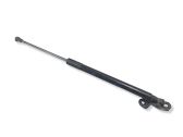 Tailgate/trunk strut/damper