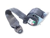 Rear seatbelt