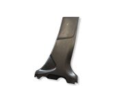 (B) pillar trim (bottom)