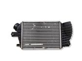 Intercooler radiator