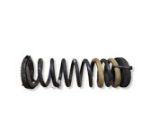 Rear coil spring