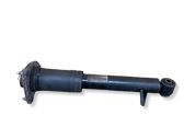 Rear shock absorber/damper