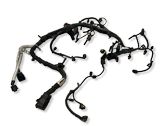 Engine installation wiring loom