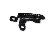 Tailgate/trunk/boot hinge