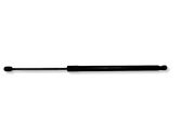 Tailgate/trunk strut/damper