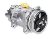 Air conditioning (A/C) compressor (pump)