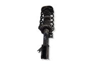 Front shock absorber with coil spring