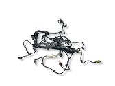 Engine installation wiring loom