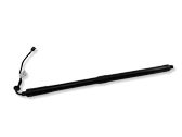 Tailgate/trunk strut/damper